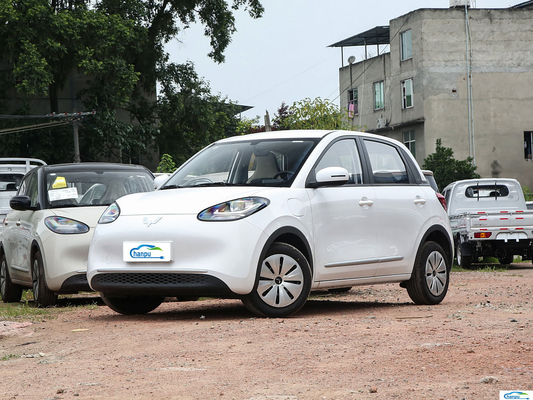 2024 Wuling Bingo 203km Ease Ride-On Electric EV Passagierswagen voor energievoertuig