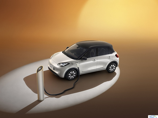 2024 Wuling Bingo 203km Ease Ride-On Electric EV Passagierswagen voor energievoertuig