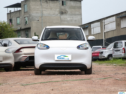 2024 Wuling Bingo 203km Ease Ride-On Electric EV Passagierswagen voor energievoertuig