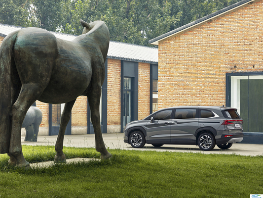 Hyundai CUSTO 1.5T 2.0T GDI MPV Multi-Function Benzine SUV Euro VI voor personenauto's
