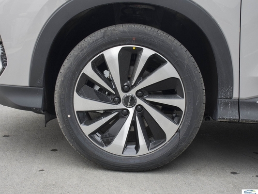 Tech Heating Electric SUV 175km/h Max Speed 5 deuren 5 zitplaatsen SUV met 5 sterren veiligheidsbeoordeling