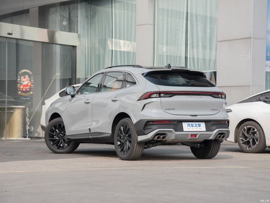 Gemaakt door Dongfeng Forthing T5 Evo 2024 Luxe 1.5T SUV Benzine Multi-link Achtervering