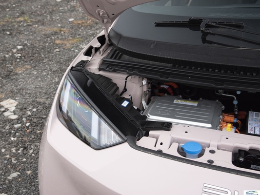 305 km bereik Compacte elektrische auto BYD 2024 Glory versie met zuiver elektrische capaciteit