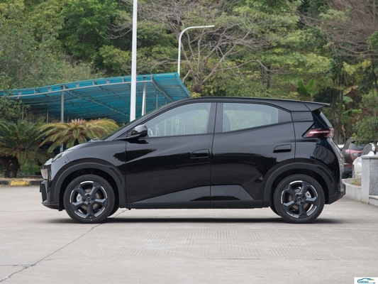 Seagull -2024 Glory Versie 305Km Vliegende Versie Elektrische Auto Voor Byd De beste keuze