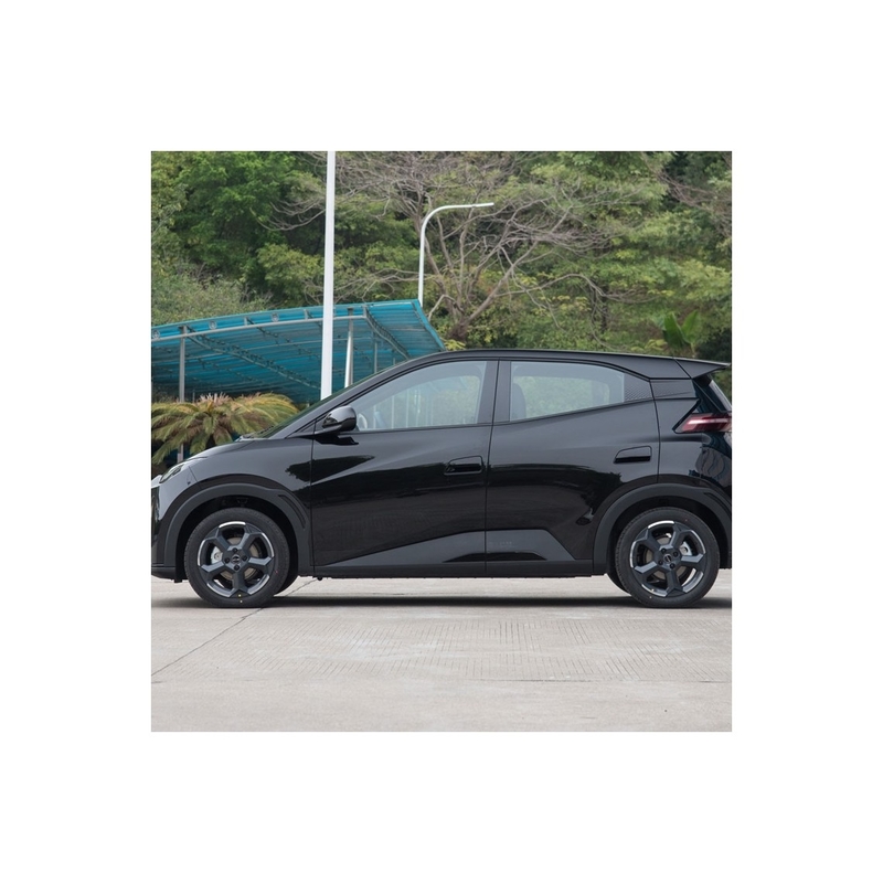 Seagull -2024 Glory Versie 305Km Vliegende Versie Elektrische Auto Voor Byd De beste keuze
